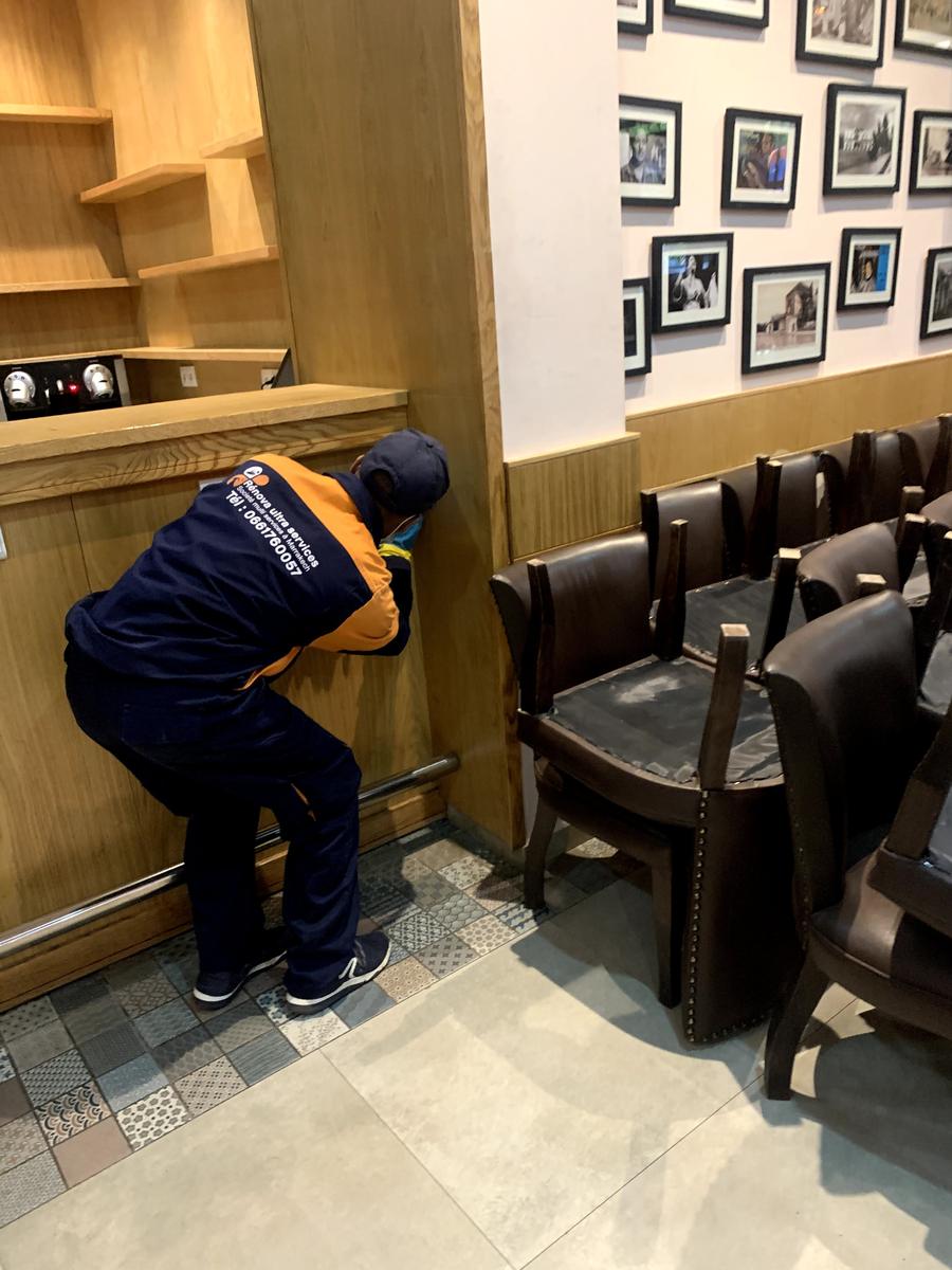 Technicien Rénova Ultra Services inspectant les points d'entrée des rongeurs dans un restaurant